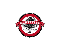 Certified Tree Removal Services