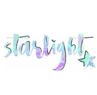 Business Starlight Shine in Miami FL